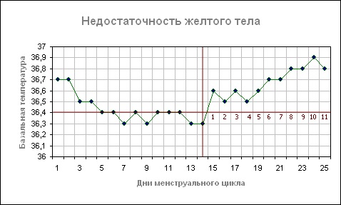 Базальная температура. Графики перед месячными, после овуляции, при беременности. Нормы, как измерить, таблица, календарь