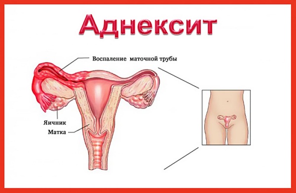 Базальная температура. Графики перед месячными, после овуляции, при беременности. Нормы, как измерить, таблица, календарь