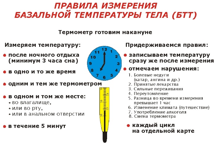 Базальная температура. Графики перед месячными, после овуляции, при беременности. Нормы, как измерить, таблица, календарь