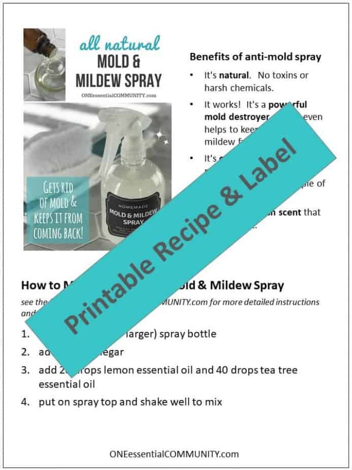 Homemade mold & mildew spray that