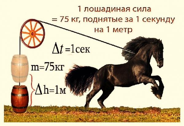 Экспериментальное определение лошадиной силы