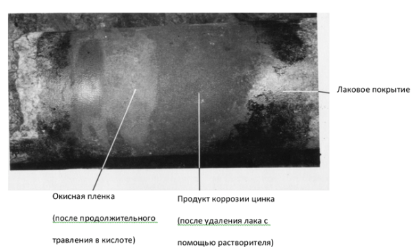 Наружная оболочка способна выполнять свои функции в крайне агрессивной среде.