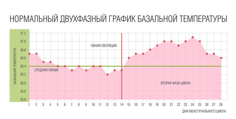 График базальной температуры