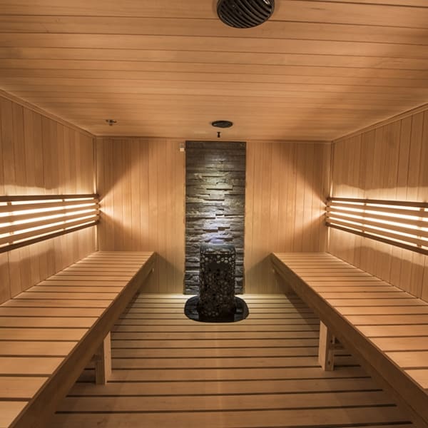 sauna heaters 1