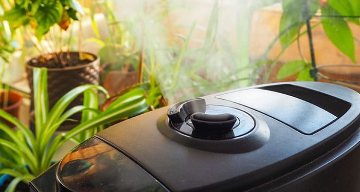 12 Cunning Tricks of Humidifying a Room Naturally