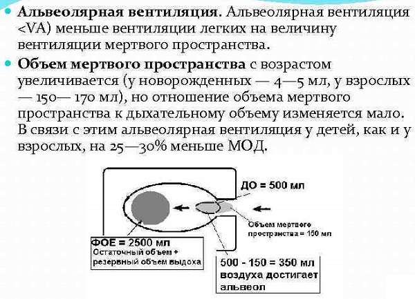 Дыхательный объем норма, частота и глубина дыхания, как и в чем измеряется