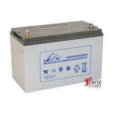 Leoch DJM 12100