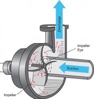 Pump Controls Centrifugal Pump Cutaway