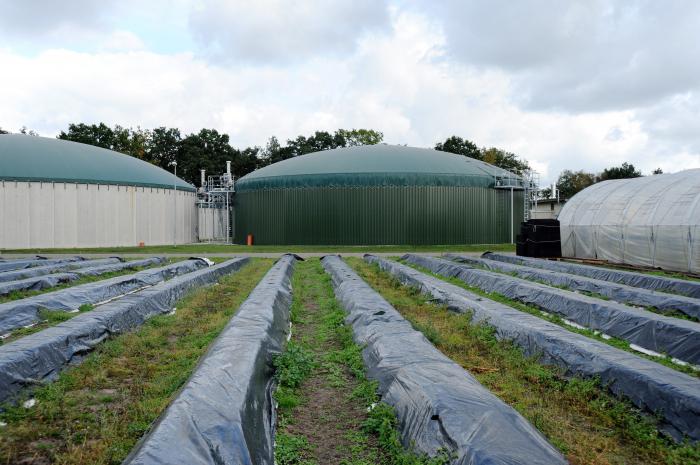 схема биогазовой установки своими руками 